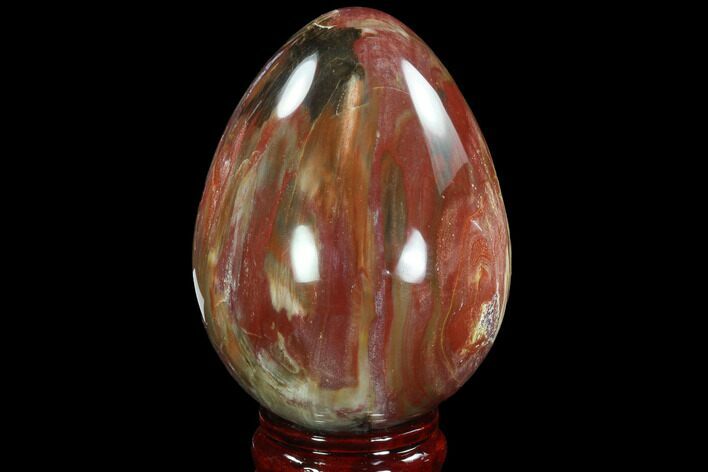 Colorful, Polished Petrified Wood Egg - Triassic #92426